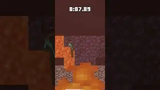 Minecraft you like game#funny #homereality