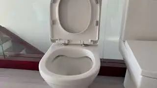 Watch the Water Dance: SUNRISE&rsquo;s Innovative Tornado Flush System Explained #toilet