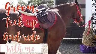 Groom, tack up & ride with me | Emmy Eventing