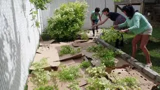 Ecological Gardening Techniques - No Dig, No Till, Lasagna Gardening
