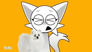 He's comfort for me welcome My Baby pomeranian Seojun YouTube channel