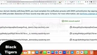 How to verify a domain in Amazon SES?a to z