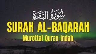 Surah Al Baqarah Dengan Suara Indah Membuat Hati Tenang - Ahmad Al Shalabi