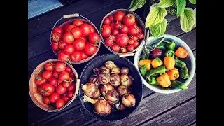 Amazing Sauce Recipe, Learn 3 Techniques Used in 1 Secret Sauce