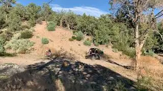 CRF50 & TM Challenger 150x Pt 2