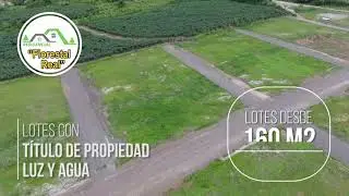 FLORESTA REAL COMPLETO