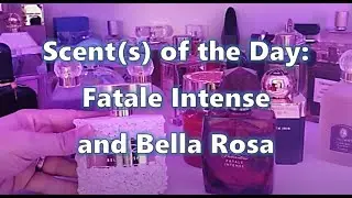 SCENT OF THE DAY - FATALE INTENSE - MAKEUP OF THE DAY - NATASHA DENONA LOVE, TARTE CLAY PLAY, + MORE