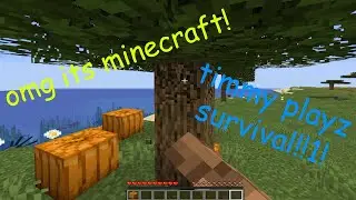 timmy makes a minecraft lets play