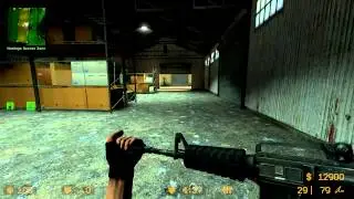 Chad Warden Gun