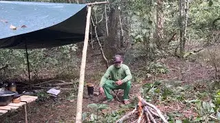 🏕️ACAMPAMENTO EM MEIO A NATUREZA COM VIZITA DE ANIMAIS E PÁSSAROS 