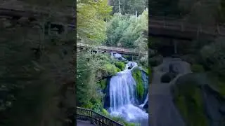 Stunning Waterfall of Triberg Germany😍😍 #shorts