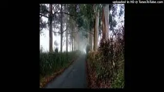 * prodnotdeshawn shawn so trill type beat 'on a walk