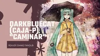 Darkbluecat (Caja-p)- 