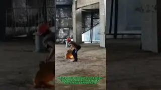 Smart Fire Robot: Auto-Aiming Water Cannon Tested!