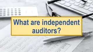 What are independent auditors?