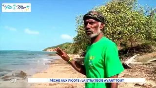La pêche aux picots