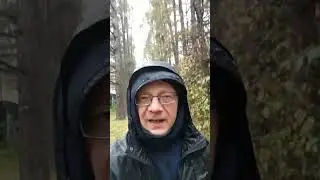 Бег в октябрьский снегопад. Пора утепляться? #sports #спорт #nature #бег #зож #пробежка