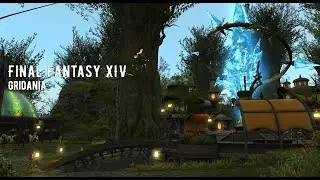 Final Fantasy XIV. Music and Ambience. Gridania.🌳😴🎶☁️🌙🌳