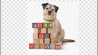 Do this now! 🐾National dog survey!