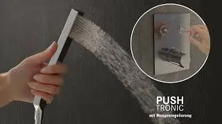 Steinberg  Pushtronic