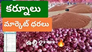 16/12/2025 కర్నూలు మార్కెట్ ధరలు today kurnool market rates prices onion mirchi redgram maize ulli
