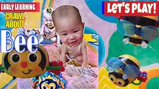 🔴PLAYING FOLLOW BEE CRAWL TOY | EARLY LEARNING CRAWL ABOUT BEE | Tsanel Juan