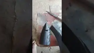 cabeça da águia