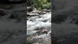 fishing site