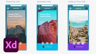 Share Mode &ndash; Adobe XD November Release 2019 | Adobe Creative Cloud