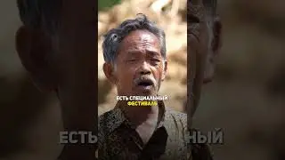 Индонезийцы выкапывают мертвых родственников