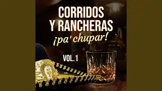 Borracho Perdido