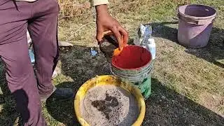 TCBT के 4 उत्पाद(प्राण शक्ति,अणु भस्म,फफूंद रोधी भस्म और जीवन द्रव्य) का मटर की फसल में परिणाम देखें