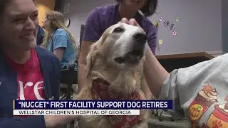 'Nugget', first facility support dog at Children's Hospital of Georgia, retires