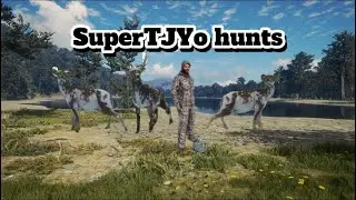 Trying to find three trophy fallow deer on Te Awaroa