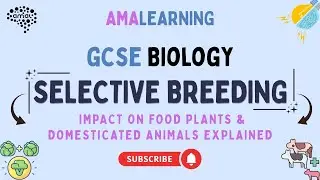GCSE Biology - Selective Breeding Impact on Food Plants & Domesticated Animals Explained