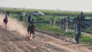 mirza one winner of the final,langy horse race 2022,
