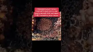 Читай👇