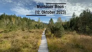 Murnauer Moos (12. Oktober 2023)
