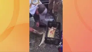 Suspects plead guilty in connection with Cleveland fishing tournament cheating scandal