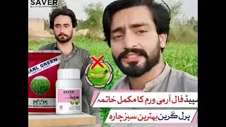 How to Save Crops from Fall Armyworm | Pearl Green Forage Corn | Pakistan Farmers