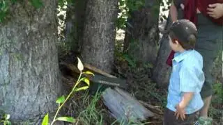 LeftCoastFloyds Geocaching the Gold Trail Day 1 Part 1