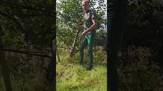 Why no fruit? #orchard #fruittrees #permaculture #gardening #apple #motivation #ideas #adventure