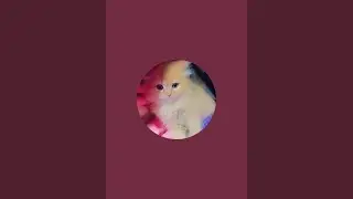 Simba ki duniya  is live!