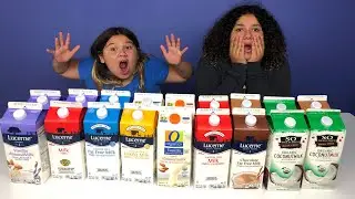 Don&rsquo;t Choose the Wrong Milk Slime Challenge