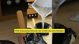 B&iacute; quyết tiết kiệm c&aacute;t vệ sinh cho th&uacute; cưng cực kỳ đơn giản! #notapetvn #pet #cat #meow