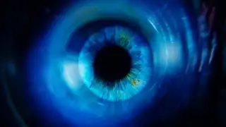 Intelligence, knowledge and progression of wisdom in the Age of Smart Machines | TED Institute