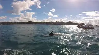 Coromandel coast