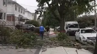Trees down across Bronx, Queens as remnants of Hurricane Debby pass through