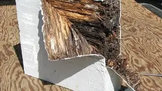 What's Really Under There? -- roof beam dry rot repairs gone wrong