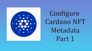 How to configure NFT metadata for Cardano blockchain | Part 1 NFT metadata standards
